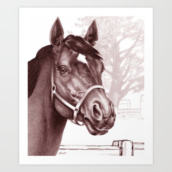 Stare of The Stallion Art Print
