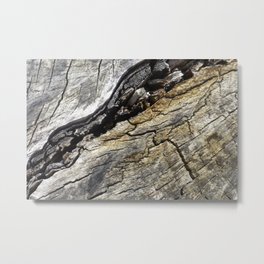 Fissure Metal Print | Woodgrain, Stump, Fissure, Wood, Cabinaccessory, Guygift, Photo, Mancave, Nature, Natural 