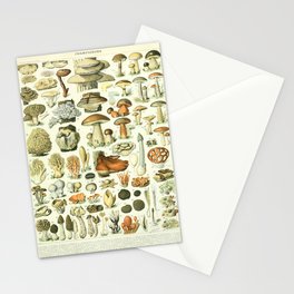 Vintage French Illustration - Champignons - Mushrooms  Stationery Card