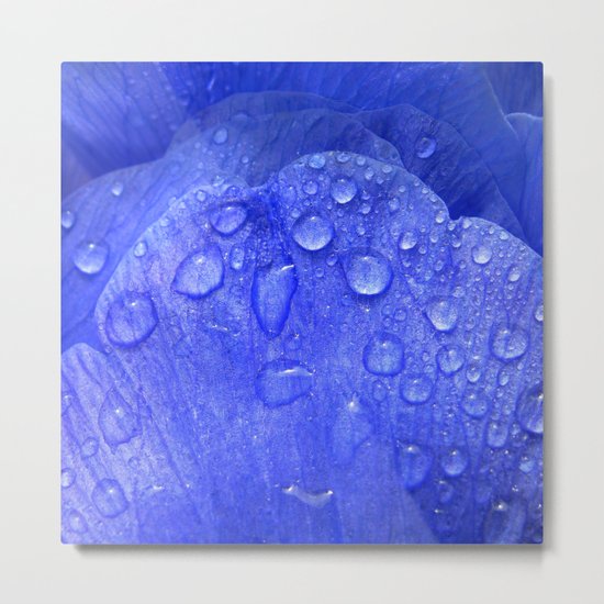 blue petal drops I Metal Print
