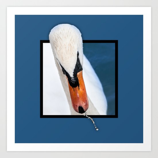 Swan with 3D pop out of frame effect Art Print