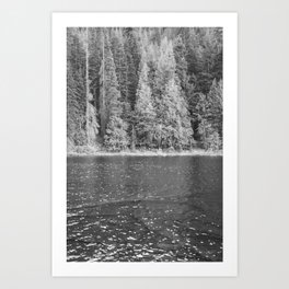 Forest Lake Black and White | PNW Landscape Photography Art Print