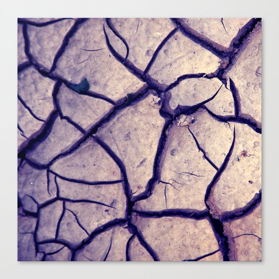 dry earth Canvas Print