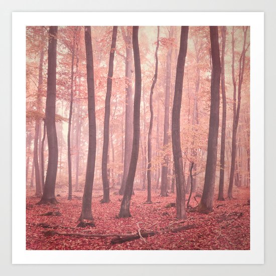 foggy days Art Print
