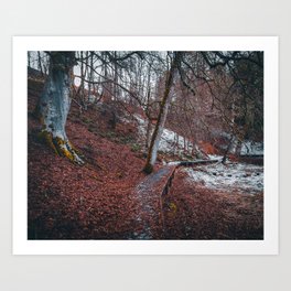 Autumn in the Scottish Highlands: A Spectacular Display of Fallen Red Leaves and Majestic Trees Art Print