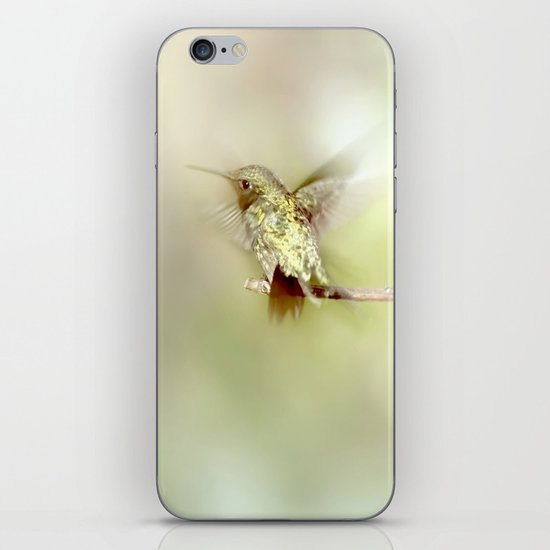 Settle iPhone & iPod Skin