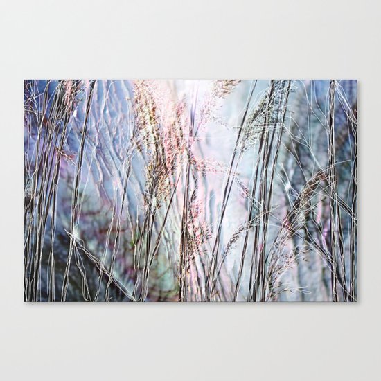Magical Reeds - JUSTART (c) Canvas Print
