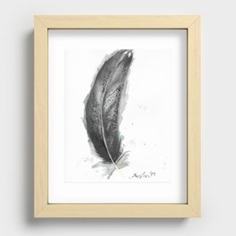Immature Bald Eagle Feather Recessed Framed Print