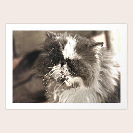 "Laaaazy!" Art Print