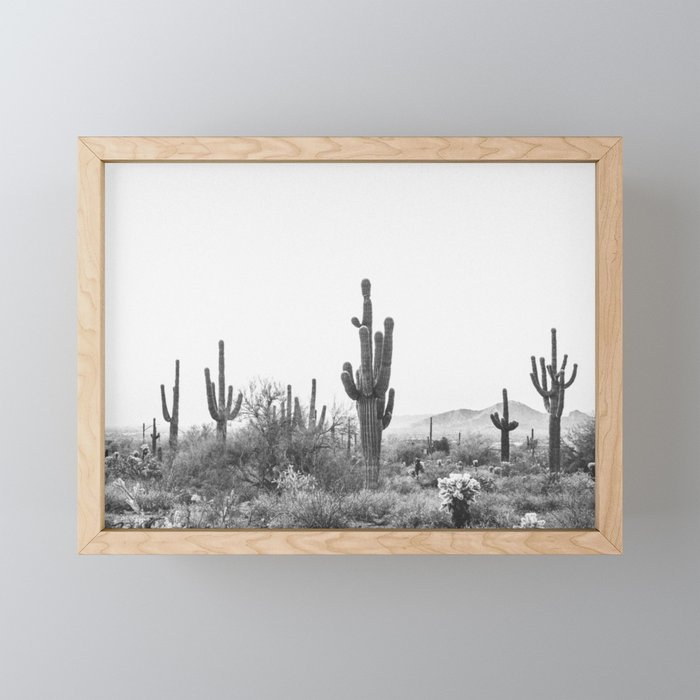 ARIZONA DESERT VI / Scottsdale Framed Mini Art Print