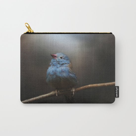 Believe! Carry-All Pouch