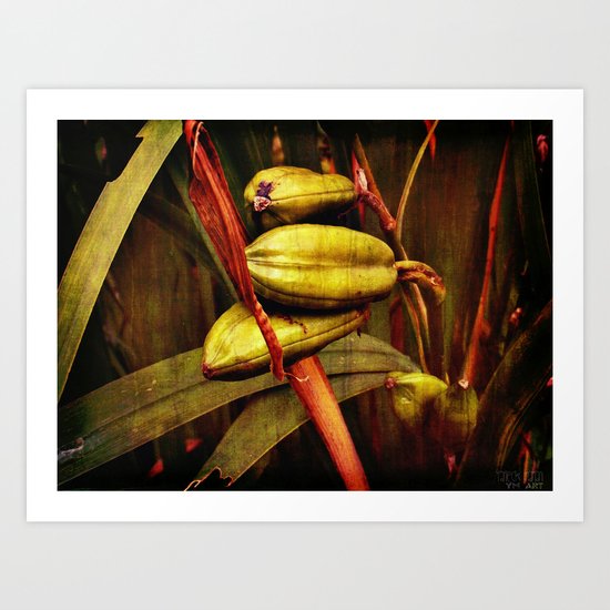 Hanging over the pond Art Print