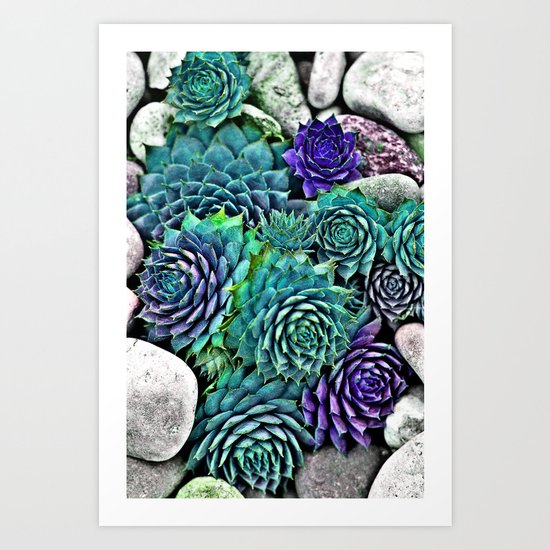 succulents Art Print