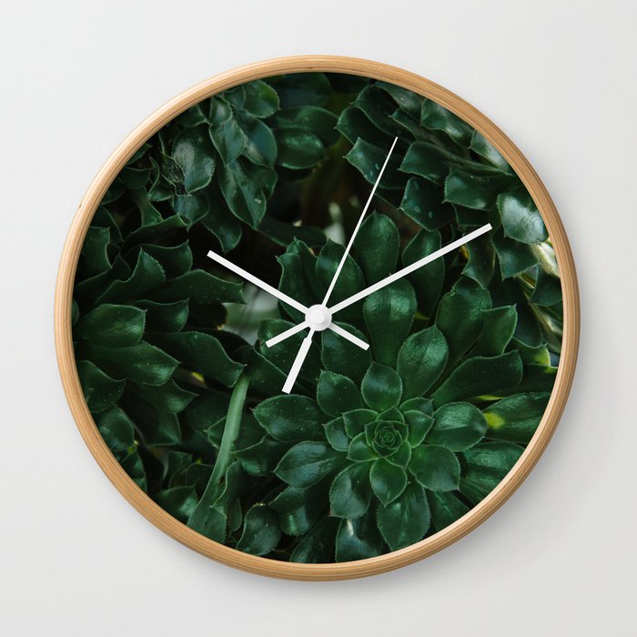 Crassula ovata Flower Wall Clock