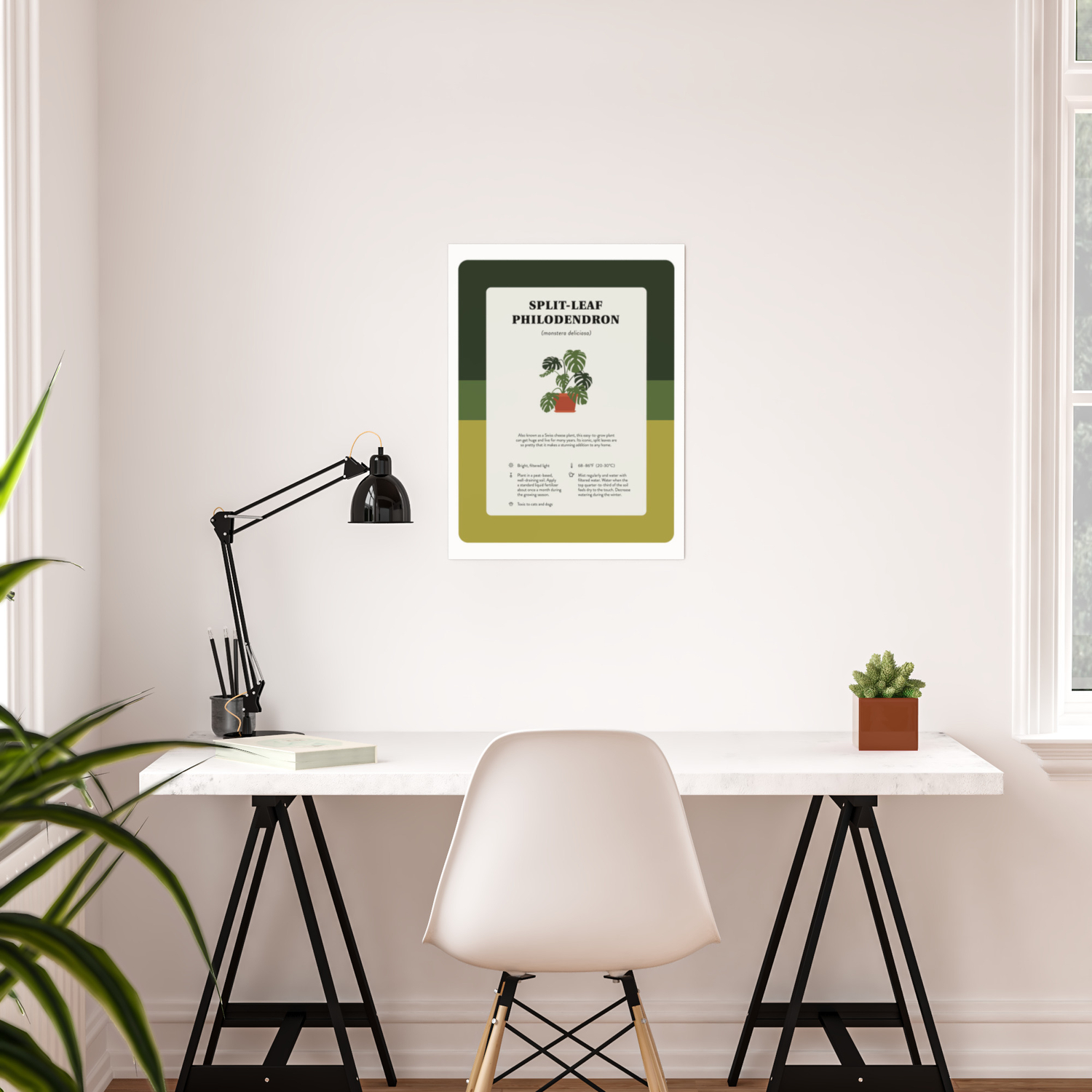 Split Leaf Philodendron Care Poster By Alberts5 Society6