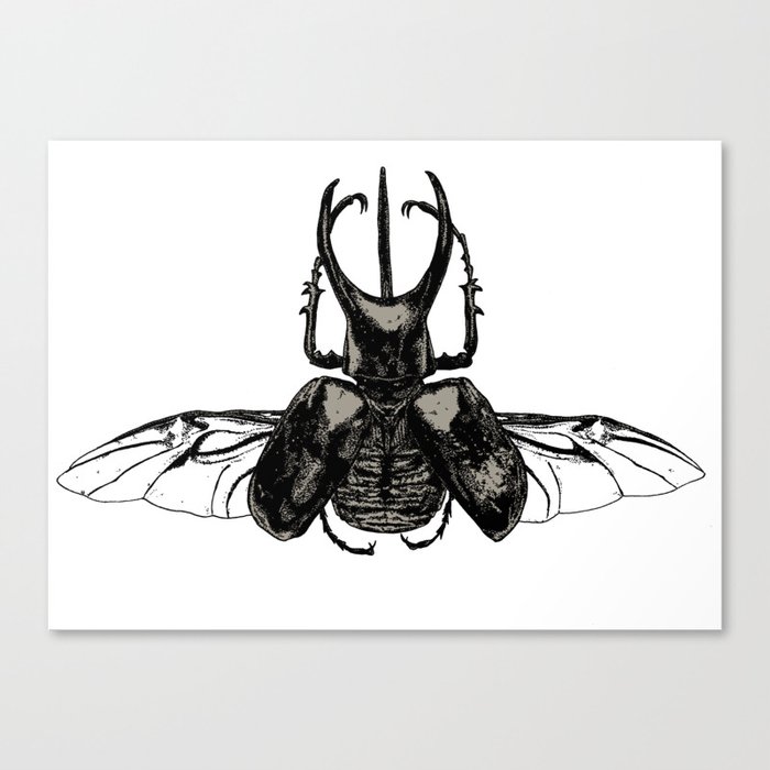 Scarab Two Canvas Print