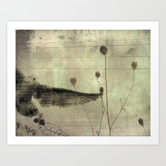 Paper Seagull Art Print