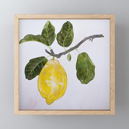 Lemon branch  Framed Mini Art Print