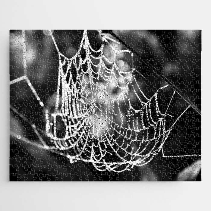 Spider's web with morning dew nature portrait black and white photograph - photography - photographs Jigsaw Puzzle