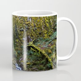 Dry Creek Falls Coffee Mug