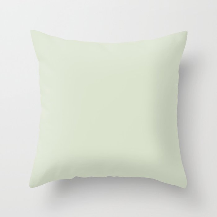 Ultra Pale Pastel Green Solid Color Matches Sherwin Williams