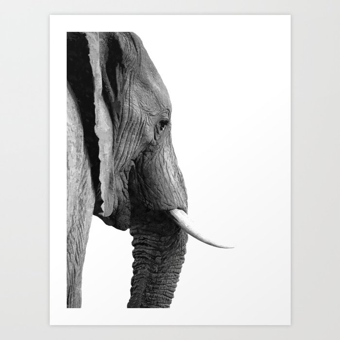 Black and white elephant portrait Art Print