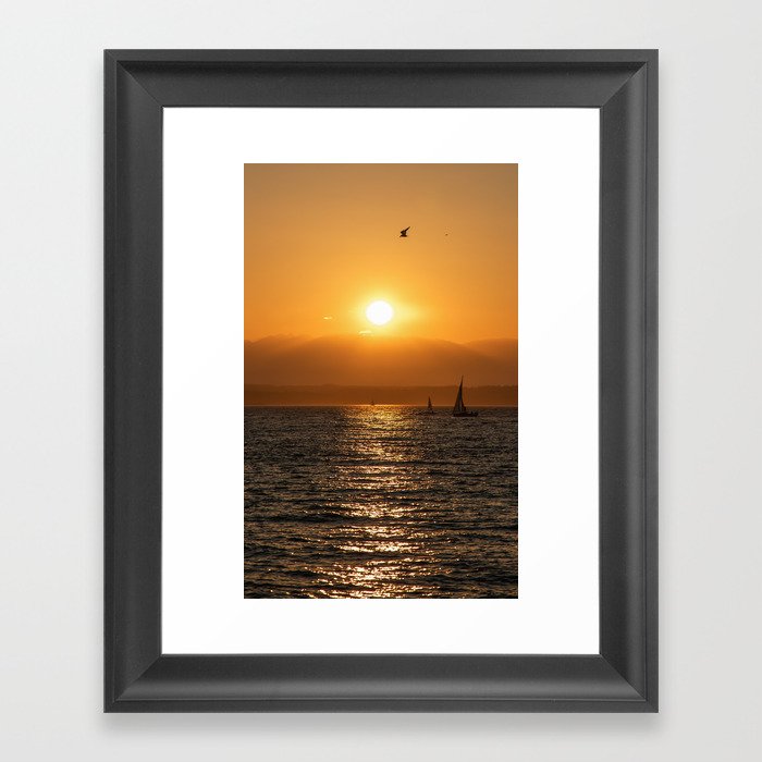 Sea Bird at Sunset Framed Art Print