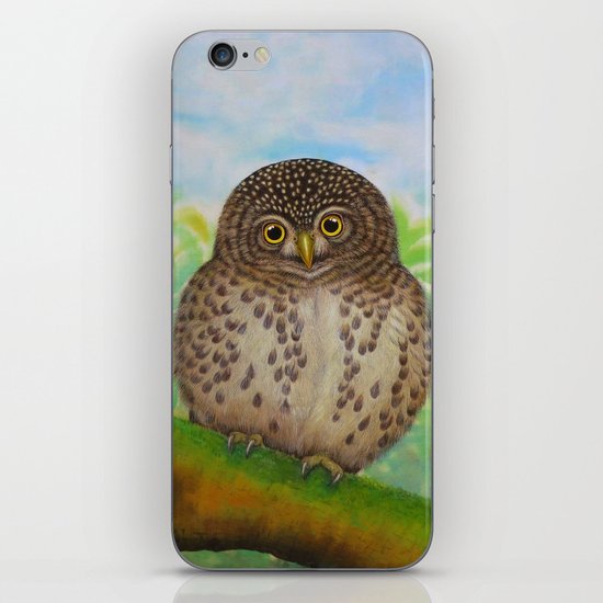 Collared Owlet iPhone & iPod Skin