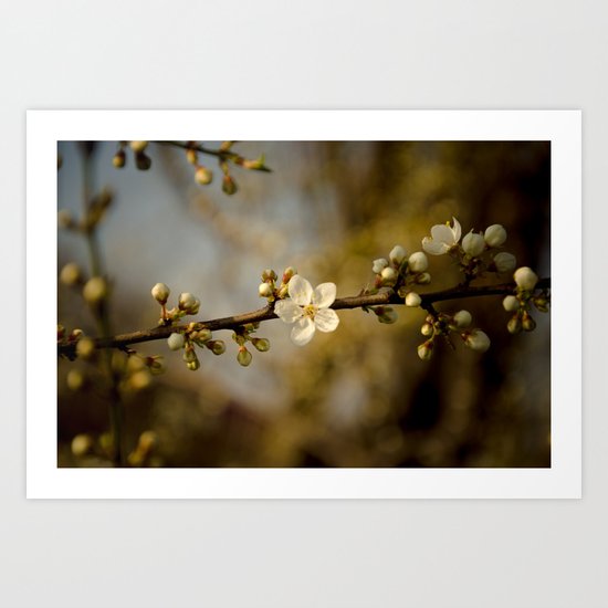 they are coming Art Print