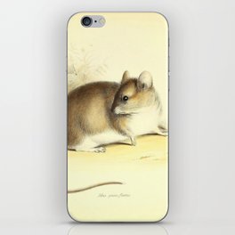 Mouse iPhone Skin