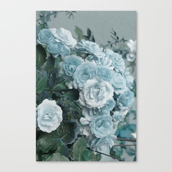 A cloud of blue roses Canvas Print