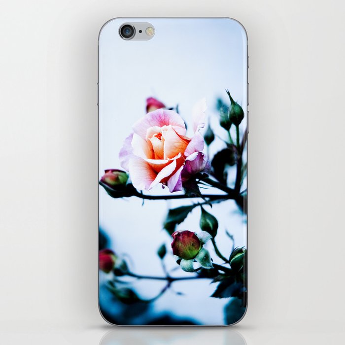 Roses are Red, Violets are Blue iPhone Skin