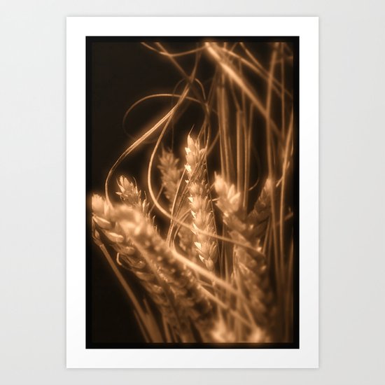 Wheat in sepia Art Print