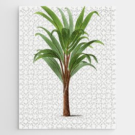 Vintage Botanical Print - Hyophorbe Palm Tree Illustration Jigsaw Puzzle