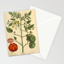 Tomato by Elizabeth Blackwell from "A Curious Herbal," 1737 (benefiting The Nature Conservancy) Stationery Card