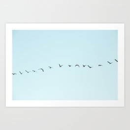 Flying South No Restrictions | Birds and Sky Photography Art Print