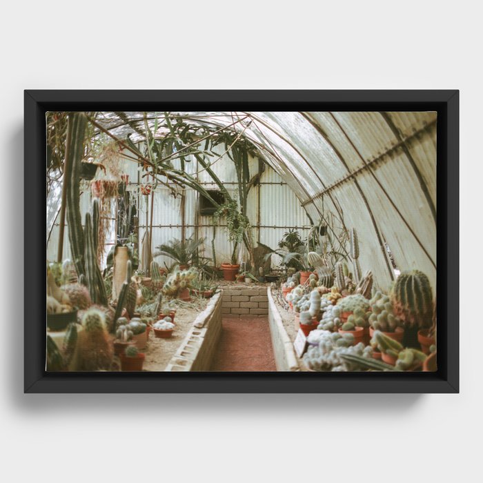 Moorten Botanical Gardens Framed Canvas