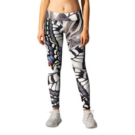 Triassic butterfly - Butterfies Leggings | Insects, Big, Many, Graphicdesign, Flying, Illustration, Triassicbutterfly, Graphic, Butterfly, Butterflies 