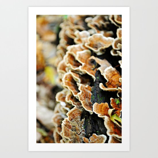 Layer Upon Layer Art Print