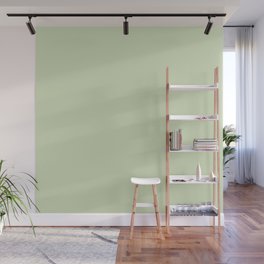 SOOTHING GREEN COLOR.  Plain Pale Celadon  Wall Mural