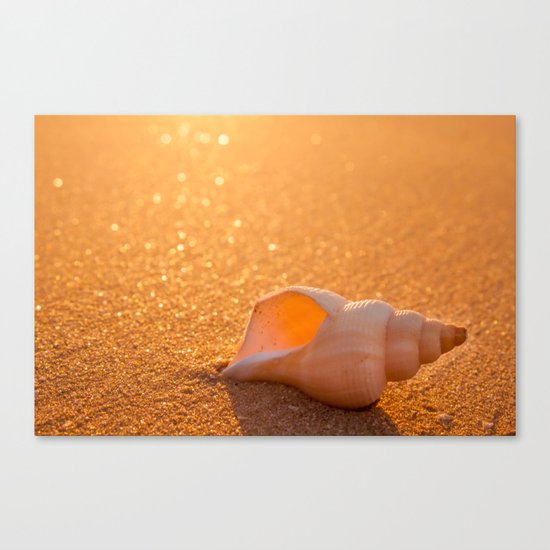 Golden lights Canvas Print