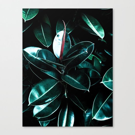 In too deep Canvas Print