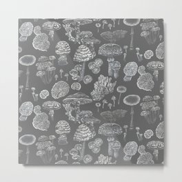 Mycology Grey Metal Print | Drawing, Winter, Tejajamilla, White, Forest, Fungi, Autumn, Witch, Witchy, Fall 