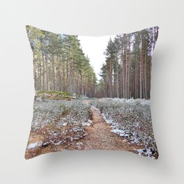 Frozen Spring Nature Trail Scottish Highland Style  Throw Pillow