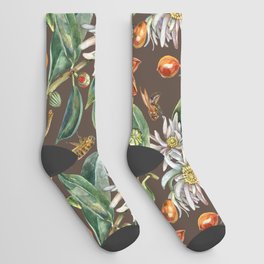 Watercolor botanical seamless pattern of culinary and healing plant star anise Socks
