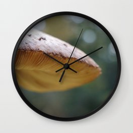 mushrooms of holland Wall Clock