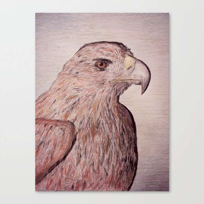 Eagle's Eye Canvas Print