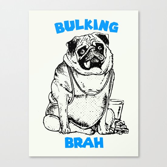 It's ok brah, I'm bulking Canvas Print