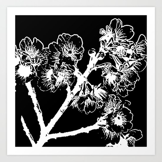 Cherry Blossom #3 Art Print