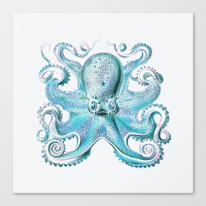 Vintage marine octopus - blue teal Canvas Print